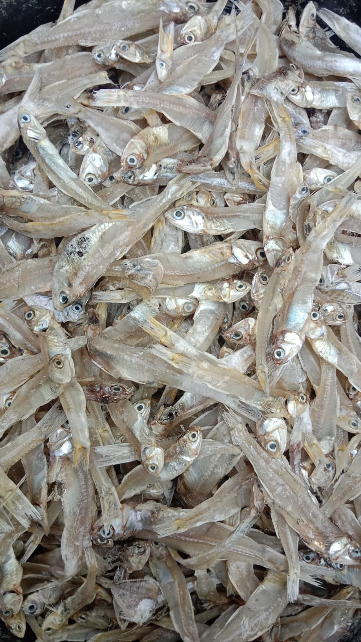 Ikan Teri Kering Besar Mina Lestari