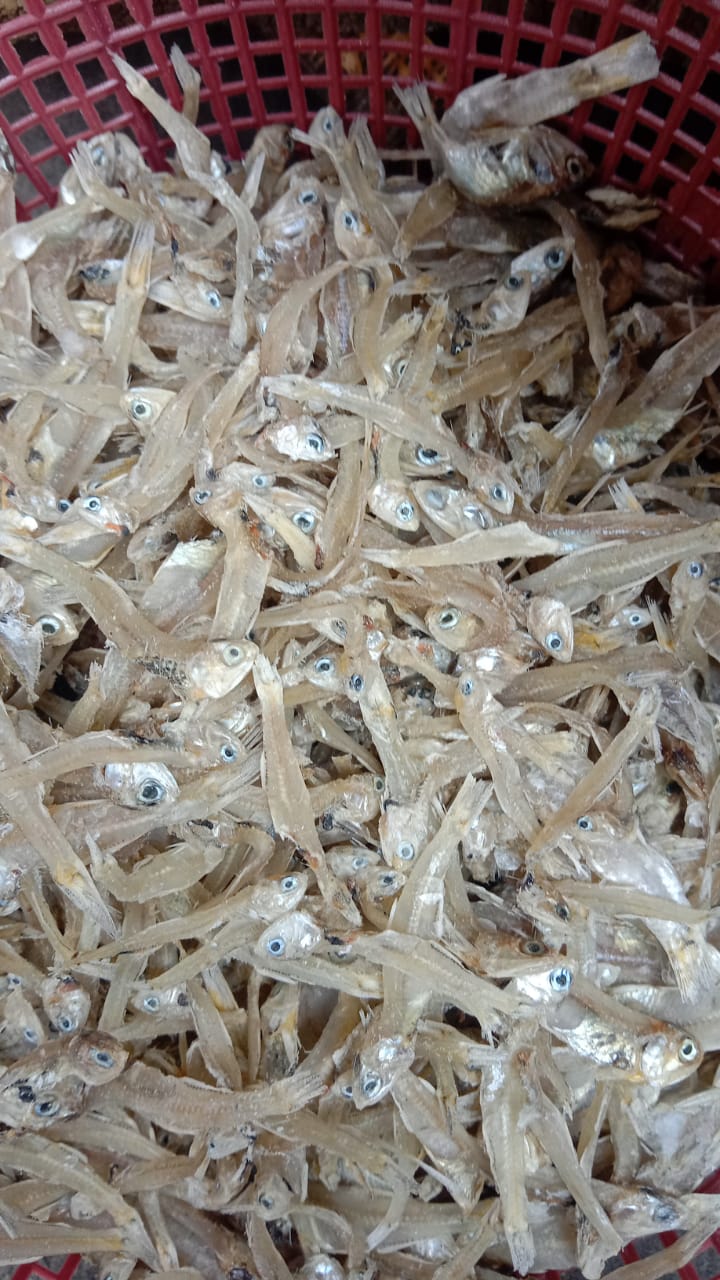 Ikan Teri Kering Mina Lestari