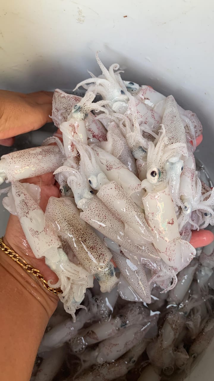 Cumi Kecil  Segar Mina Lestari